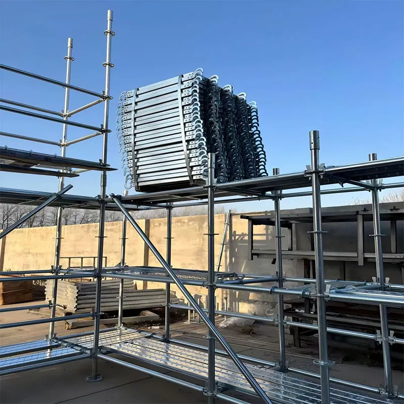 Дисковые леса (2)