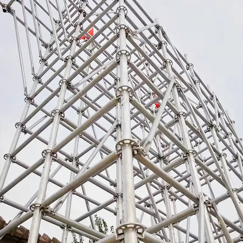 Дисковые леса (4)