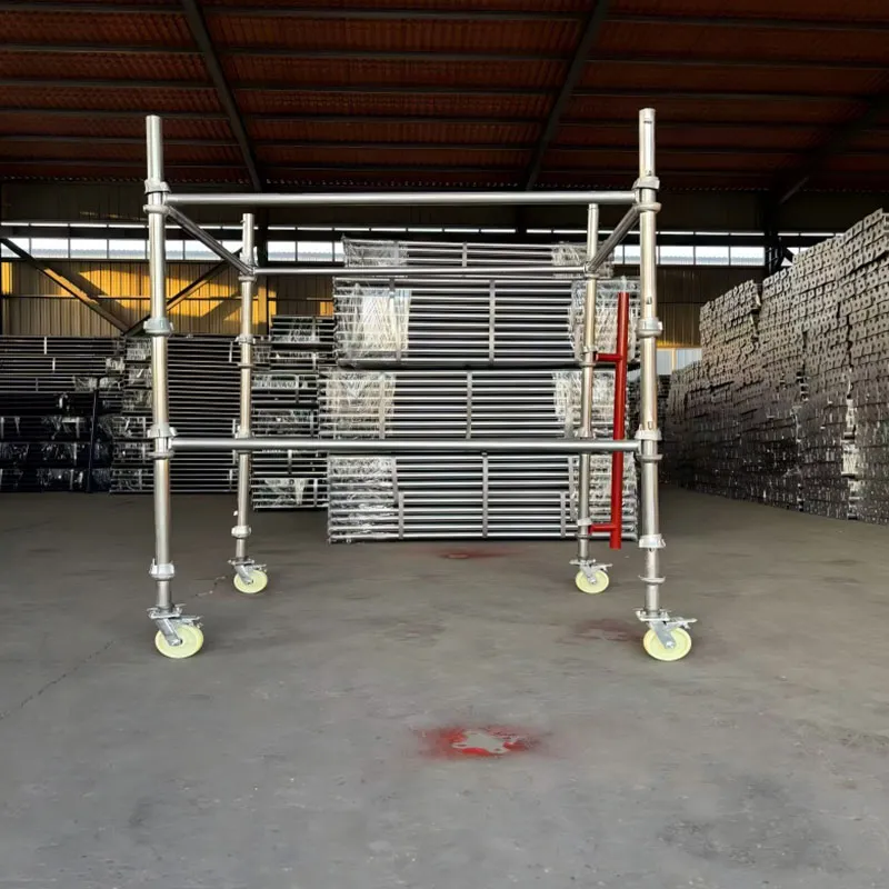 Чашечные леса (5)